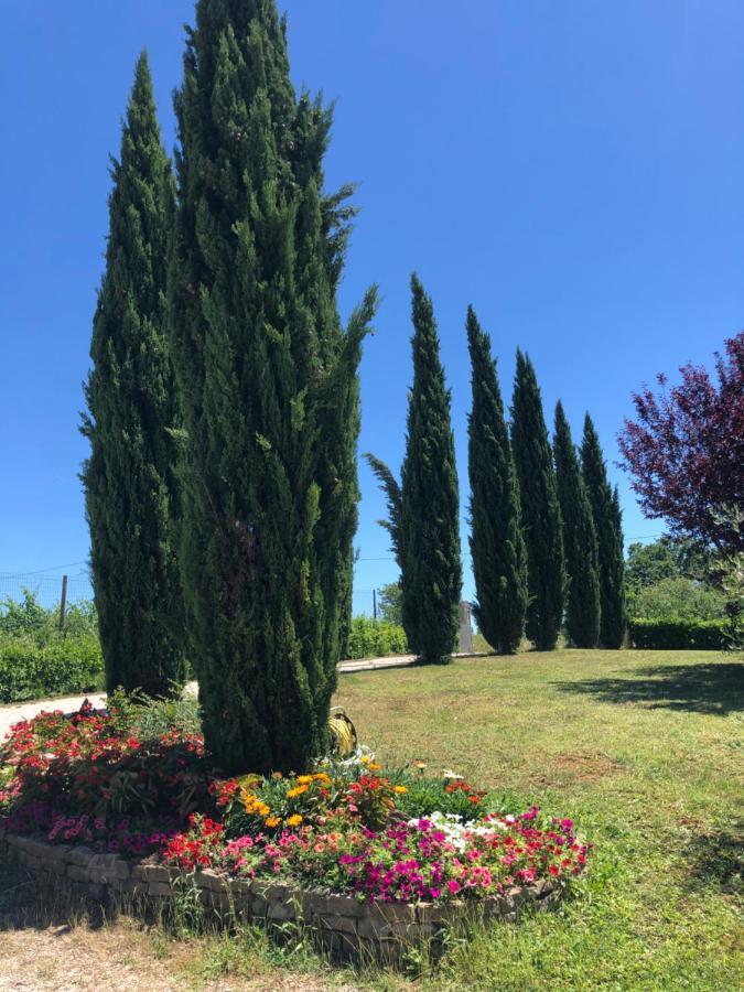 Ferienwohnung Il Gufo Del Chianti Montespertoli Exterior foto