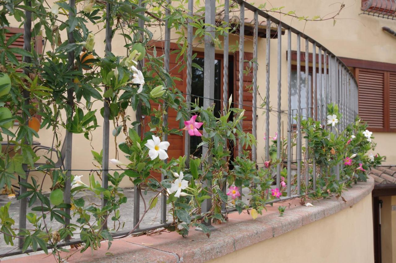 Ferienwohnung Il Gufo Del Chianti Montespertoli Exterior foto